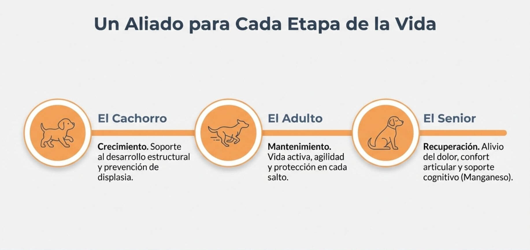 Mimado Pets Condoprotector Artivida - Imagen 3