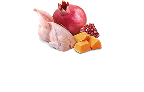 Farmina N&D Codorniz & Calabaza Pumpkin Gato Adulto - Imagen 2