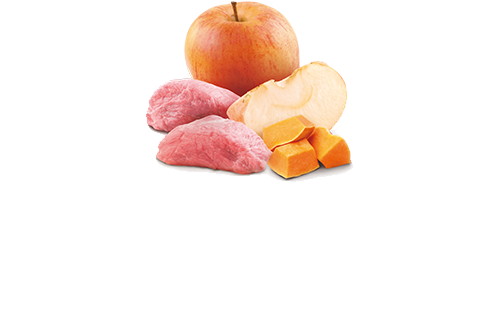 Farmina N&D Jabalí, Calabaza & Manzana Perro Adulto Lata - Imagen 2