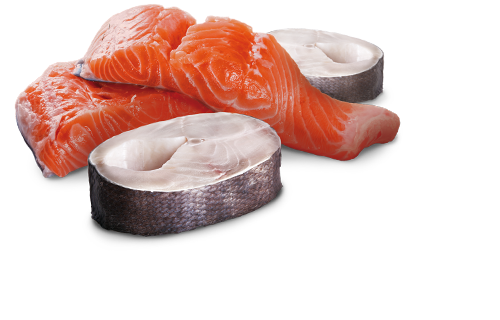 Farmina N&D Ocean Salmón & Bacalao Perro Adulto Lata - Imagen 2