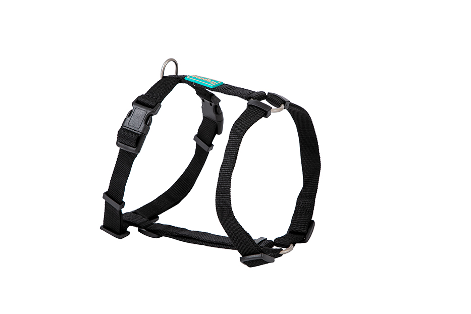 Freedog Arnés Nylon Basic Negro Perro