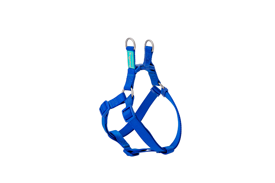 Freedog Arnés Nylon Basic Tipo A Azul Perro