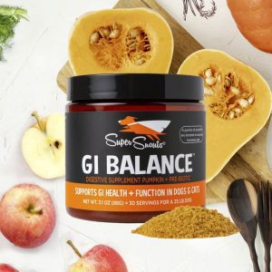 Super Snouts GI Balance