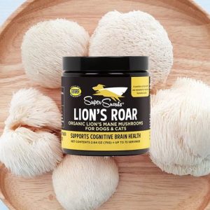 Super Snouts Lion's Roar