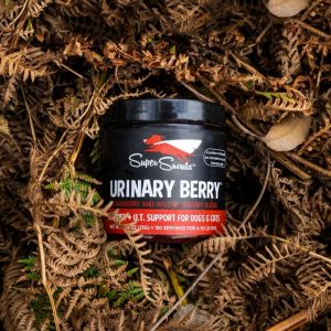 Super Snouts Urinary Berry